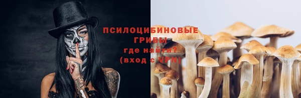 бутират Козловка