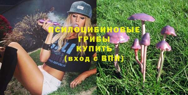 бутират Козловка
